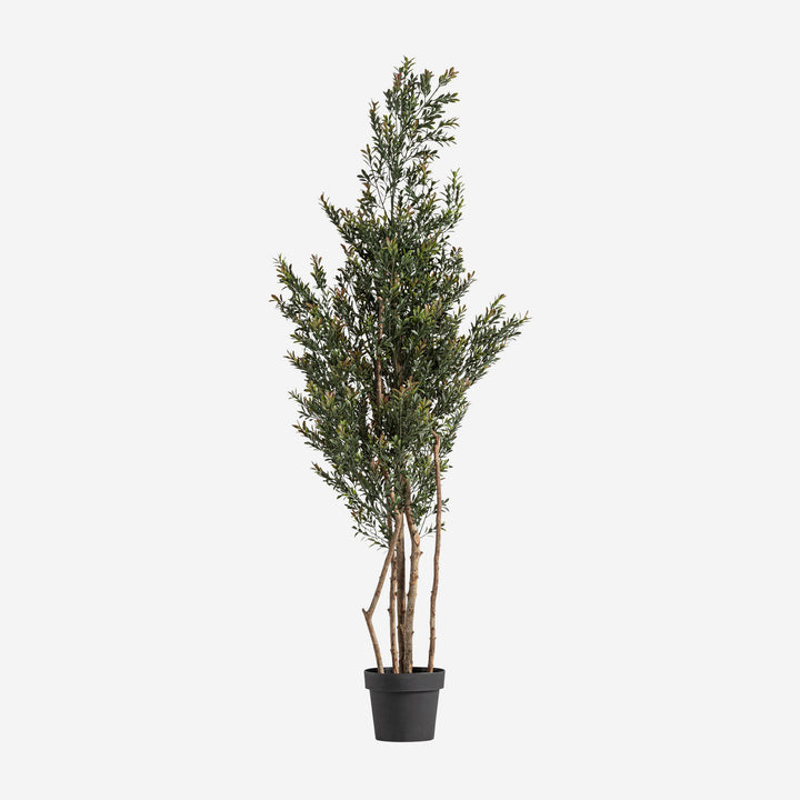 Planta artificial de polietileno y polipropileno en color verde (pack de 2)