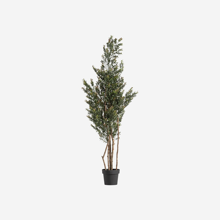 Planta artificial de polietileno y polipropileno en color verde (pack de 2)
