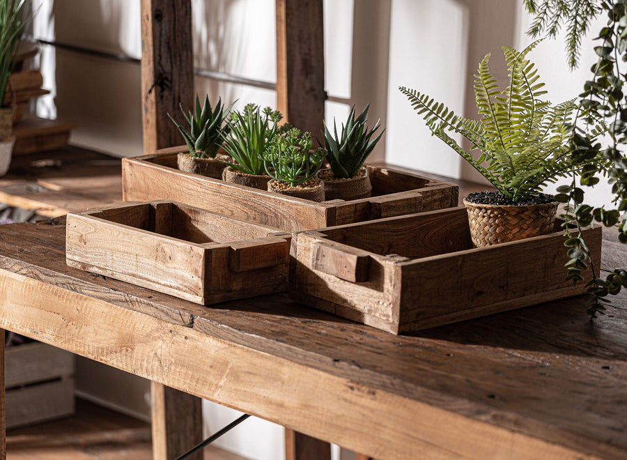 Rustic reclaimed-wood table with wooden crates, beams and plants