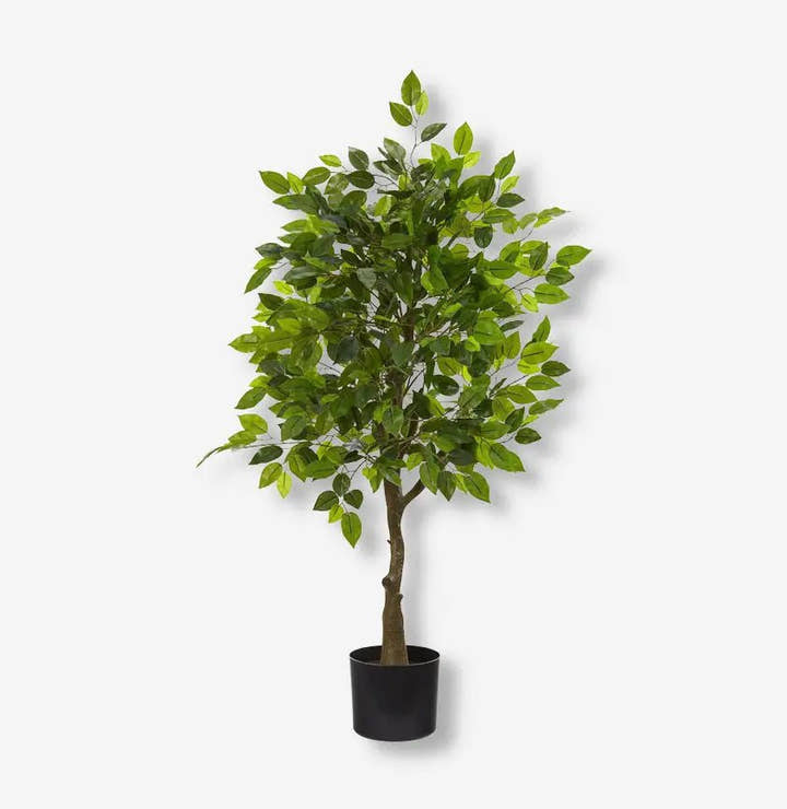 Planta artificial Ficus 150 - Planta de interior - El Workshop - Verde
