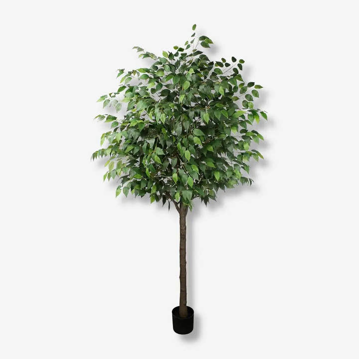 Planta artificial Ficus 180 - Planta de interior - El Workshop - Verde