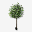 Artificial plant Ficus 180