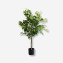 Artificial plant Ficus 105