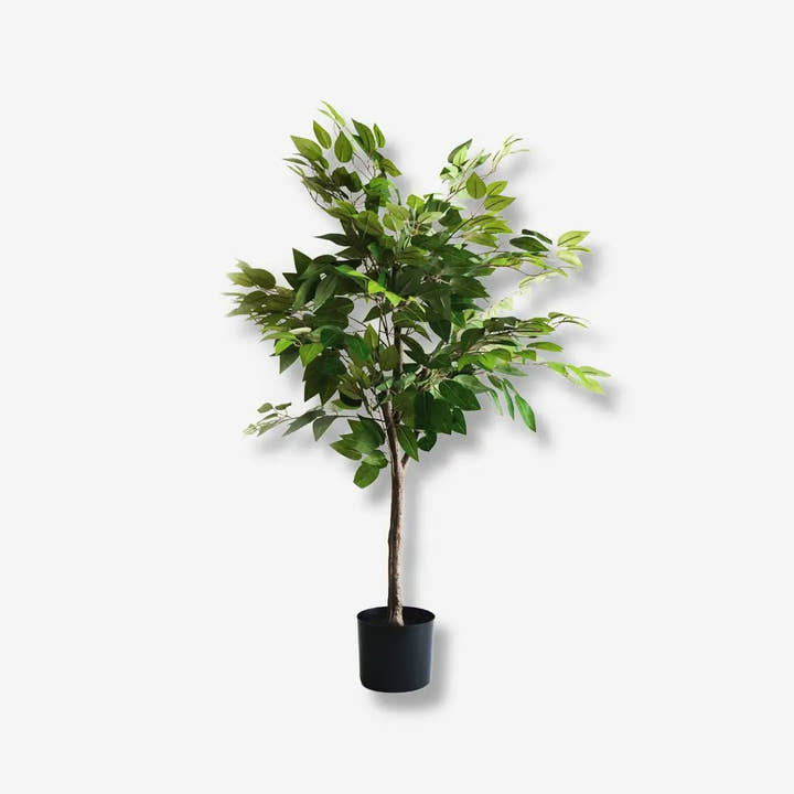 Planta artificial Ficus 105 - Planta de interior - El Workshop - Verde