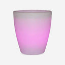 VITTAVO Planter