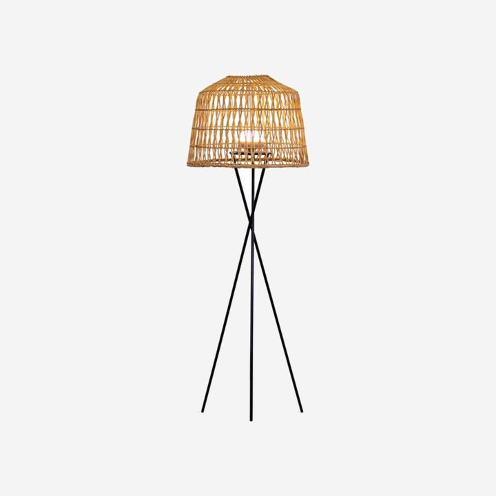 AMUSA Lamp