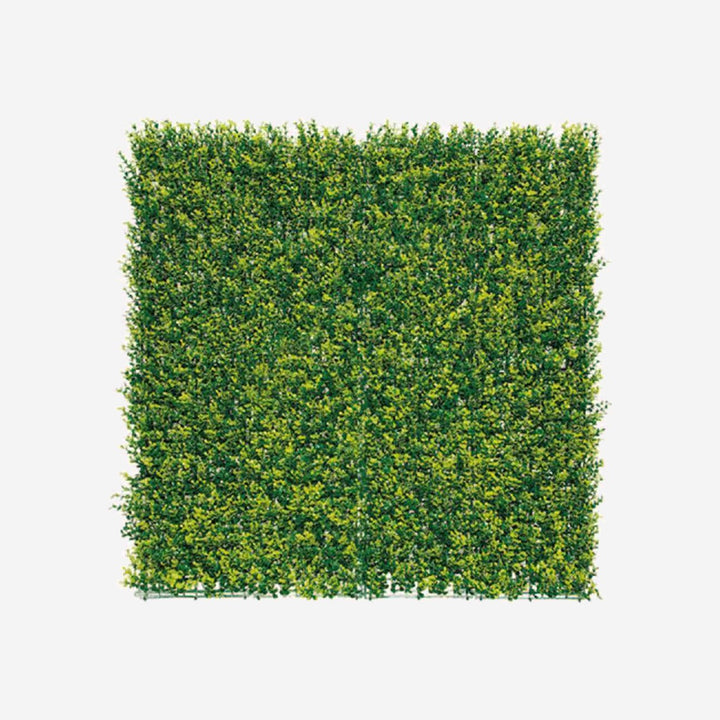 Vertical Garden BUXUS 100×100