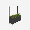 ZENSA windbreak