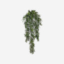 Hanging Climbing Plant VINE