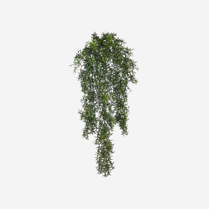 Hanging Climbing Plant VINE