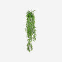 Hanging Plant BAMBOO