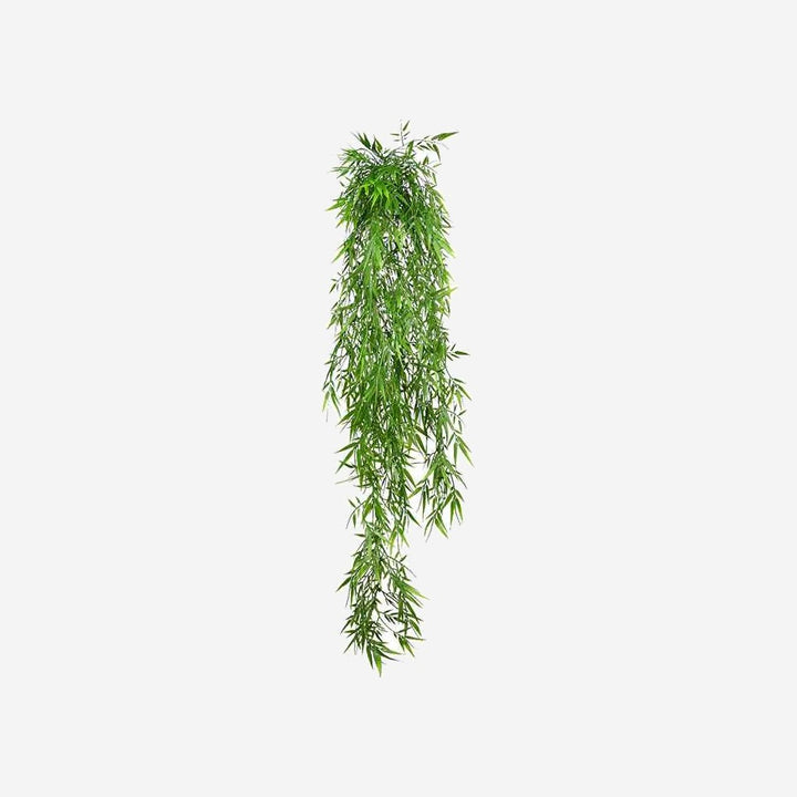 Hanging Plant BAMBOO