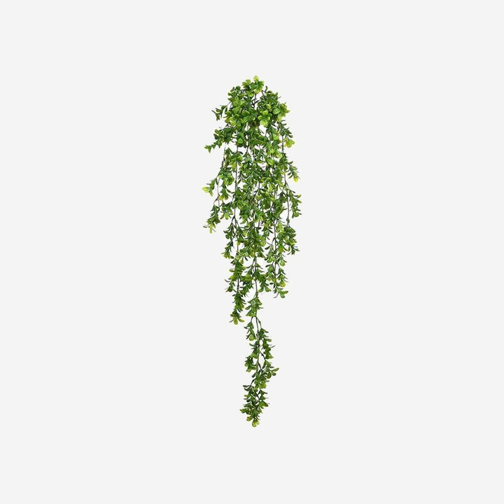 Eucalyptus Hanging Plant