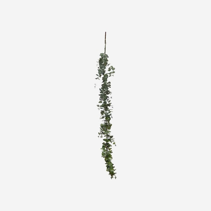 Hanging Eucalyptus Garland