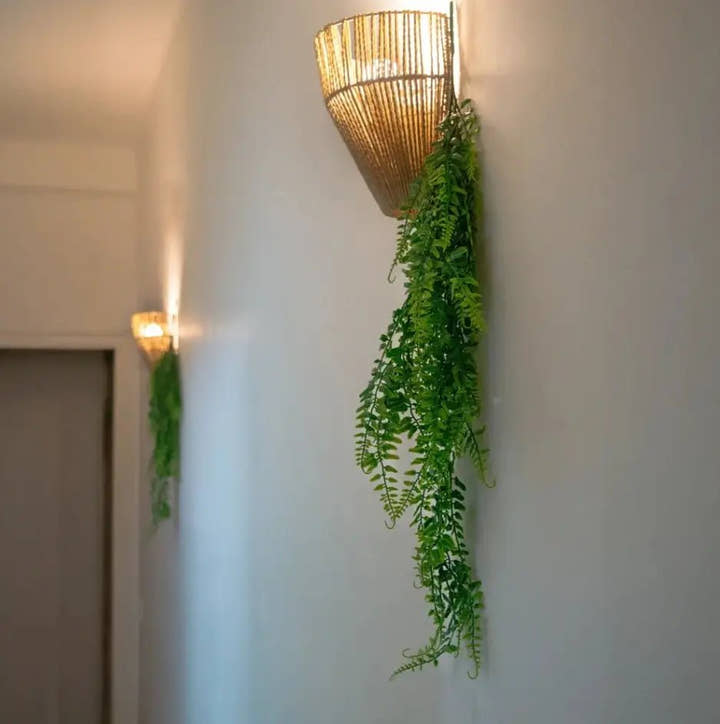 Helecho colgante X 2 unidades - Planta de interior - El Workshop - verde - 1