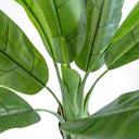 Planta Artificial Platanera 160cm