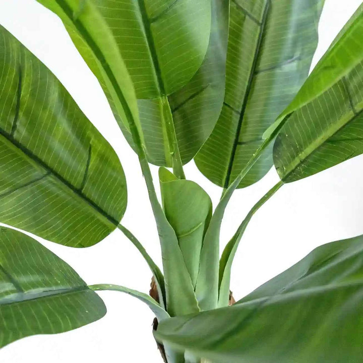 Planta Artificial Platanera 160cm