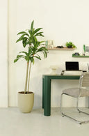 Artificial plant Dracaena 160