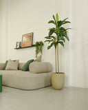 Artificial plant Dracaena 160