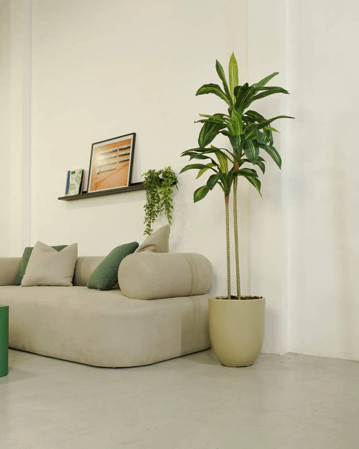 Planta artificial Dracaena 160 - Planta de interior - El Workshop - verde - 1
