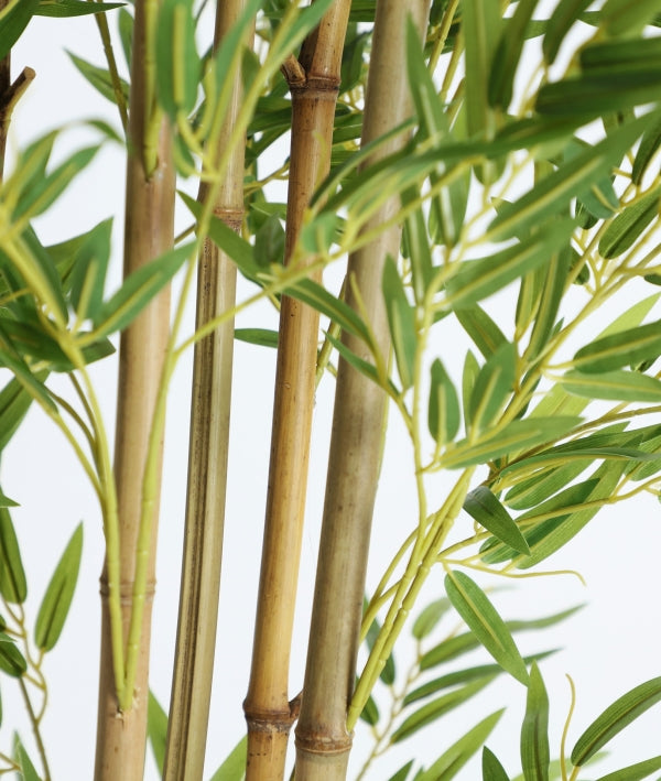 PLANTA DE BAMBÚ armonía y naturalidad sin mantenimiento