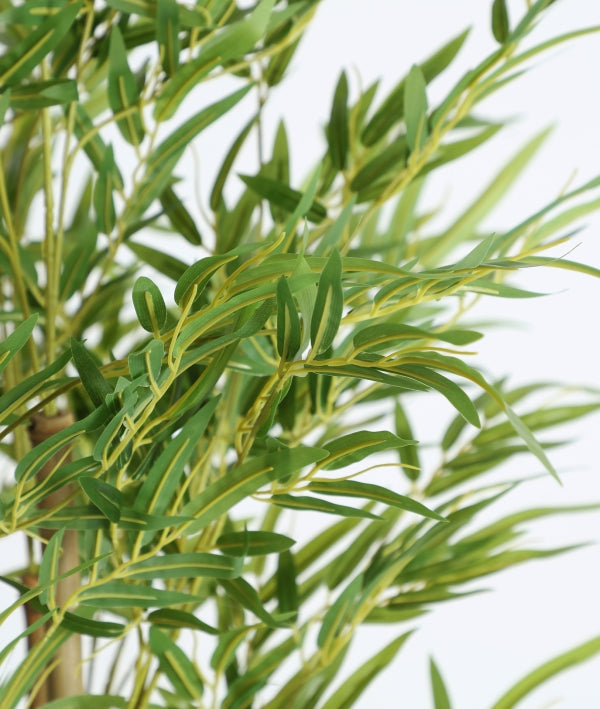 PLANTA DE BAMBÚ armonía y naturalidad sin mantenimiento