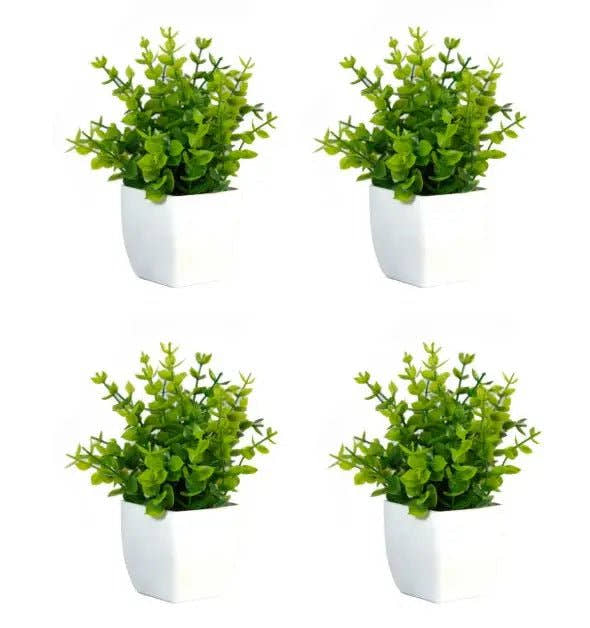 Planta pequeña Arbusto X 4 unidades - Planta de interior - El Workshop - verde - 1