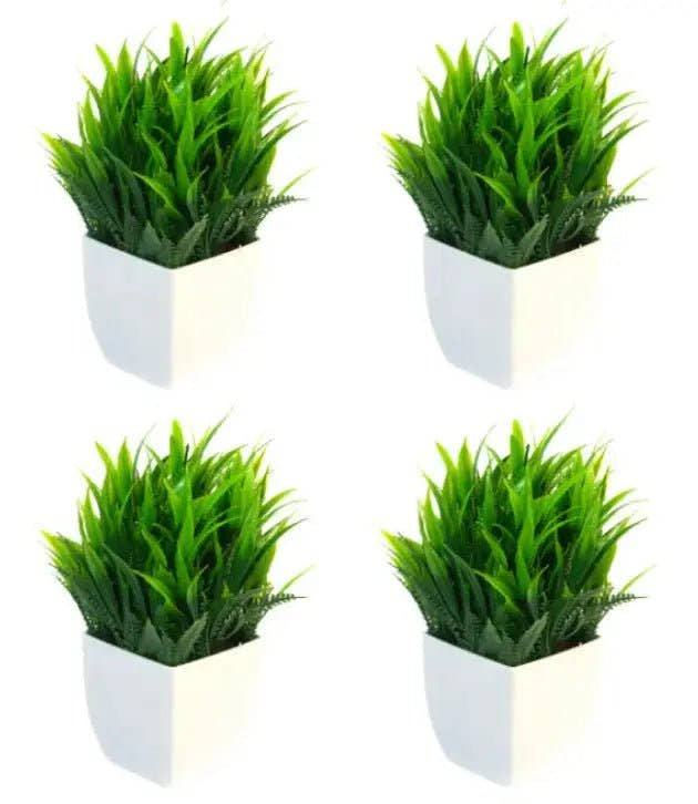 Planta pequeña Bonsai X 4 unidades - Planta de interior - El Workshop - Verde