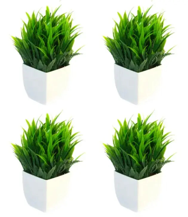 Kleine Bonsai Plant X 4 stuks