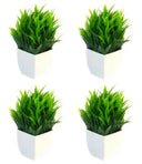 Small Bonsai Plant X 4 units