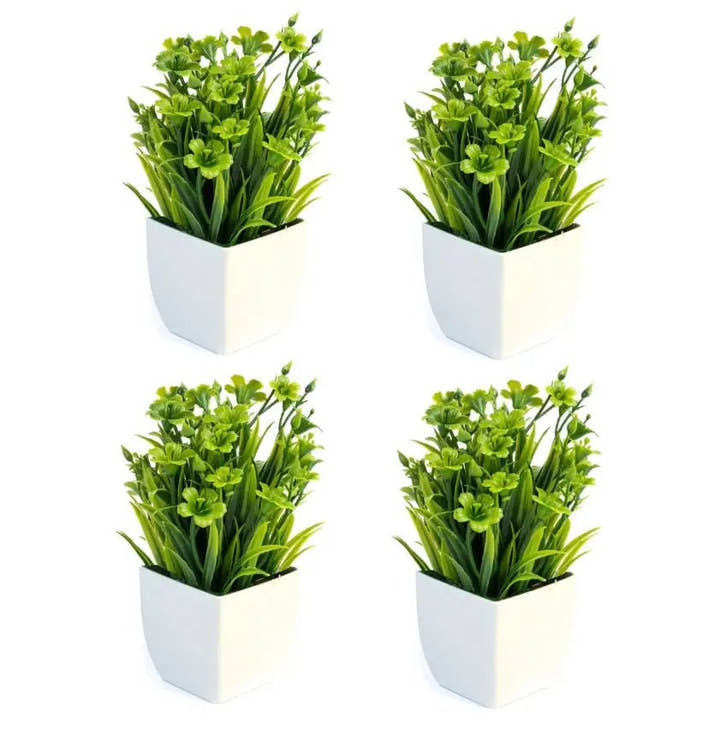 Planta pequeña Eucalipto X 4 unidades - Planta de interior - El Workshop - Verde