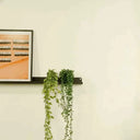 Planta Artificial Colgante con Maceta – Lapachillo 110cm + Dischidia 110cm
