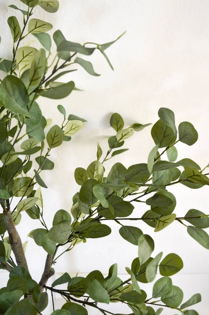 Planta artificial Eucalipto 180 - Planta de interior - El Workshop - Verde