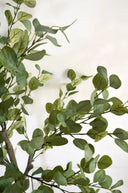 Artificial plant Eucalyptus 180
