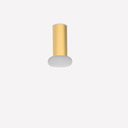 Rina Ceiling Lamp - Matte Polished Brass