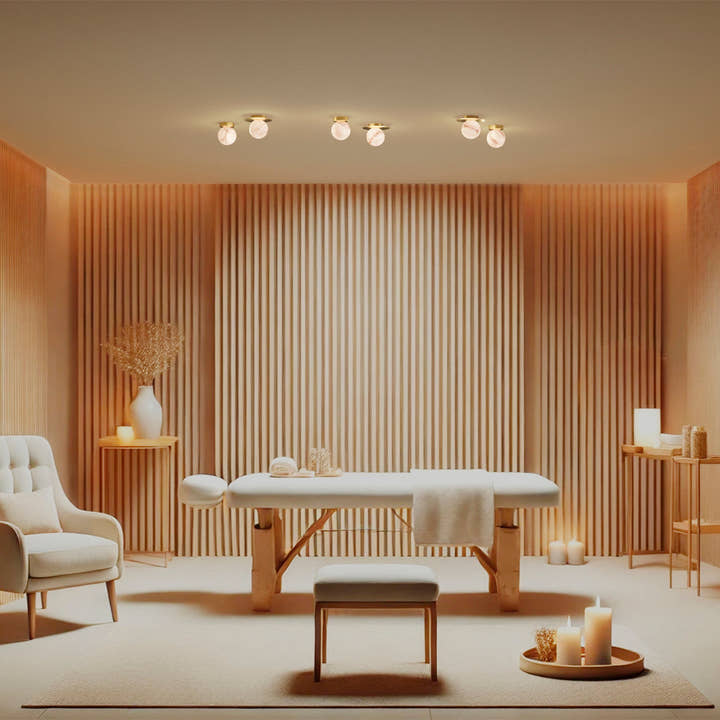 Royal Disc Ceiling Lamp