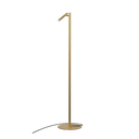 Rui Floor Lamp - Gold